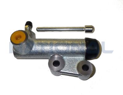 NSL1000