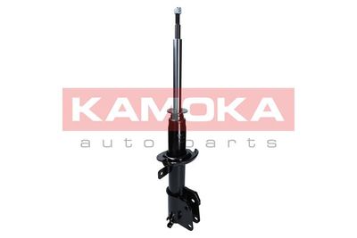 Shock Absorber 2000485