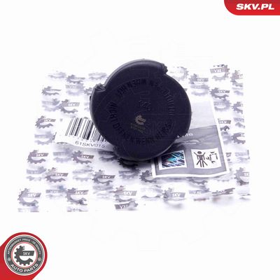 BUSON VAS EXPANSIUNE ESEN SKV 61SKV015