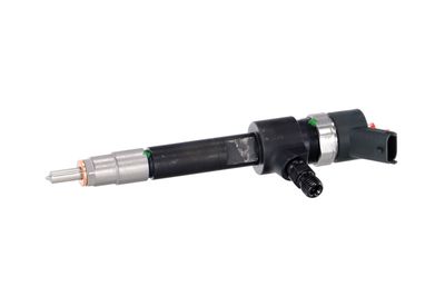 INJECTOR REMANTE 002003001133R 8