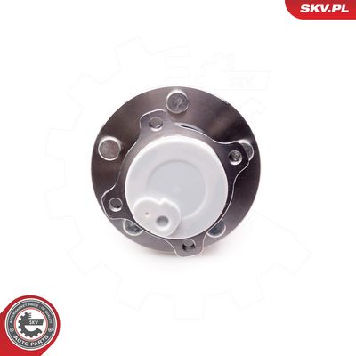 Rato guolio komplektas