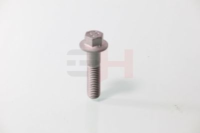 SURUB CAPAT DE AX GH GH392549 6