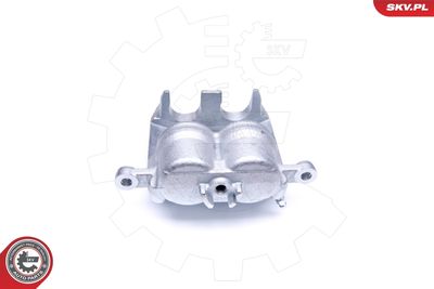 Brake Caliper 42SKV982