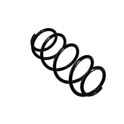 ARC SPIRAL EIBACH R10001 11