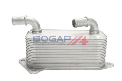 RADIATOR ULEI ULEI MOTOR BOGAP L4222102 1