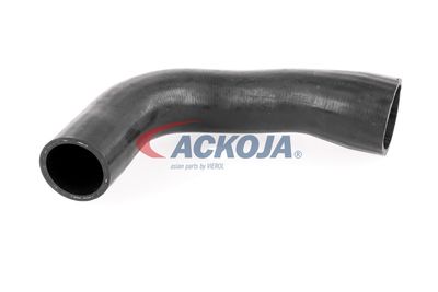 FURTUN EAR SUPRAALIMENTARE ACKOJA A389600 57