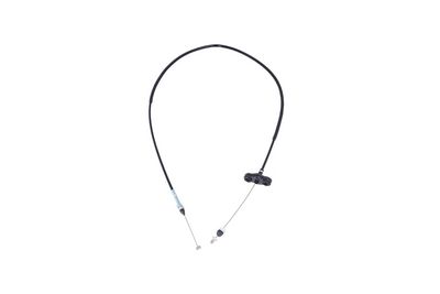 Akceleratoriaus trosas