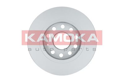 Brake Disc 1032448