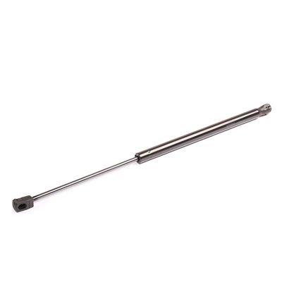 газов амортисьор, багажно/товарно пространство RIDEX 219G0166