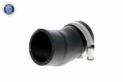 LADELUFTSCHLAUCH VAICO V102828 8