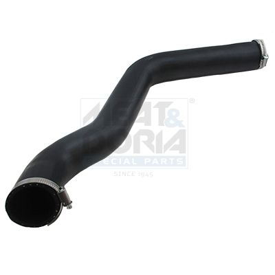 FURTUN EAR SUPRAALIMENTARE