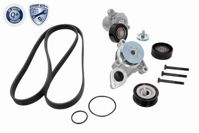 SET CUREA TRANSMISIE CU CANELURI