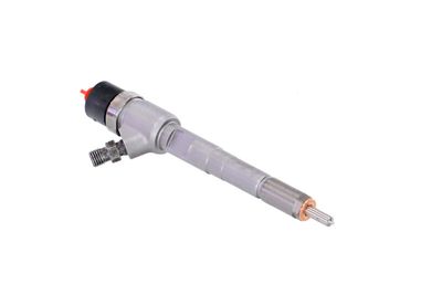 INJECTOR REMANTE 002003001022R 47