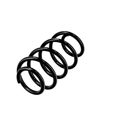 ARC SPIRAL EIBACH R10769 15