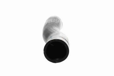 FURTUN EAR SUPRAALIMENTARE ACKOJA A529600 7