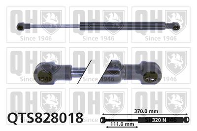 QUINTON HAZELL QTS828018 Амортизатор багажника и капота  для BMW 3 (Бмв 3)