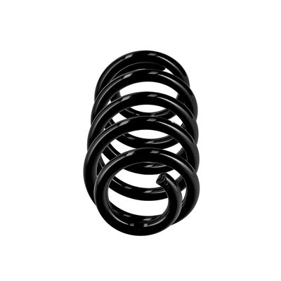 ARC SPIRAL EIBACH R10664 1