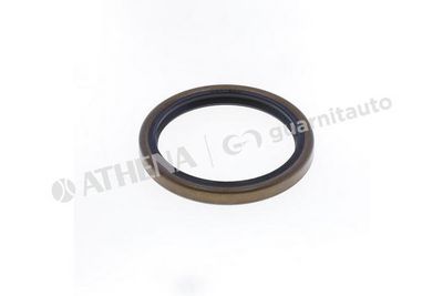 SIMERING ARBORE COTIT