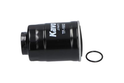 Fuel Filter TF-1652