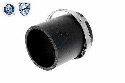 LADELUFTSCHLAUCH VAICO V103780 4