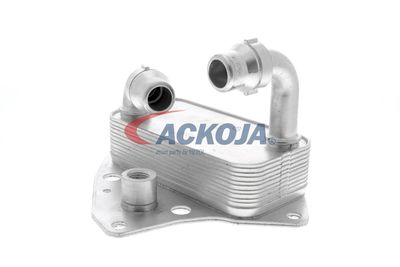 RADIATOR ULEI ULEI MOTOR VEMO V24600051 19