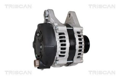 Generator TRISCAN 8310 69013