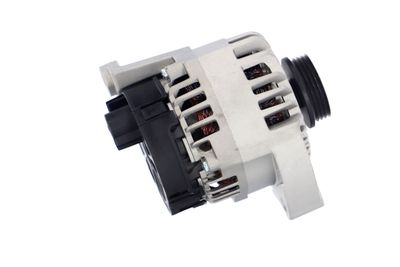 GENERATOR / ALTERNATOR REMANTE 011003000012R 41