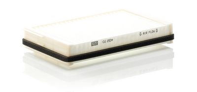 Filter, Innenraumluft