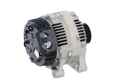 GENERATOR / ALTERNATOR REMANTE 011003000010R 38