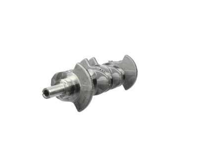 ARBORE COTIT ET ENGINETEAM HK0036 14