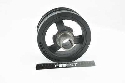 FULIE CUREA ARBORE COTIT FEBEST CRDSGRCH 51