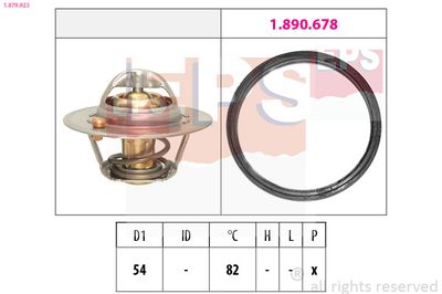TERMOSTAT LICHID RACIRE
