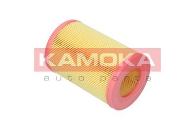 Air Filter F254001