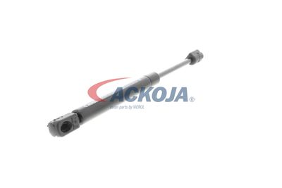 AMORTIZOR PORTBAGAJ ACKOJA A380073 53