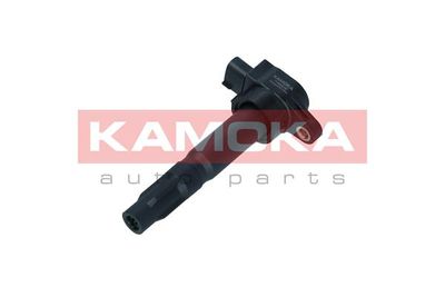 Ignition Coil 7120018