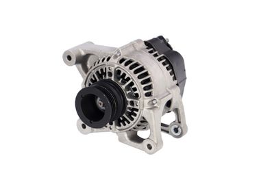 GENERATOR / ALTERNATOR REMANTE 011003000103R 65