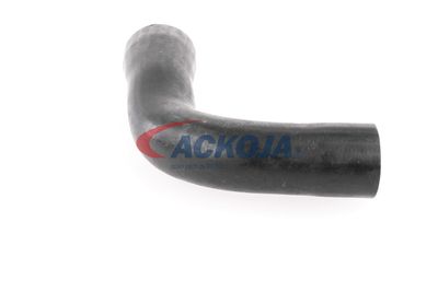 FURTUN EAR SUPRAALIMENTARE ACKOJA A389600 42