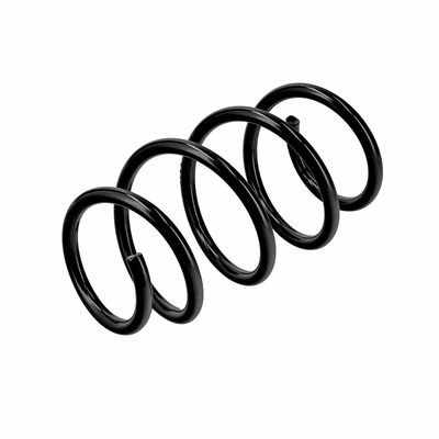 ARC SPIRAL EIBACH R19597 16