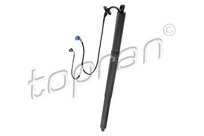 galinių durų elektros variklis 411192 TOPRAN