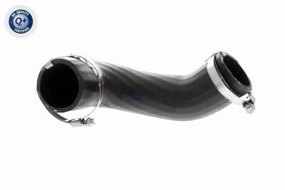 LADELUFTSCHLAUCH VAICO V251058 1