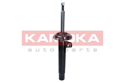 Shock Absorber 2000416