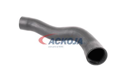 FURTUN EAR SUPRAALIMENTARE ACKOJA A379600 16