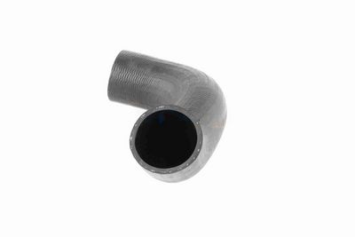 FURTUN EAR SUPRAALIMENTARE ACKOJA A380298 3