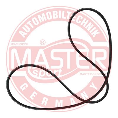 CUREA TRANSMISIE CU CANELURI MASTER-SPORT GERMANY 2PJ800PCSMS 2