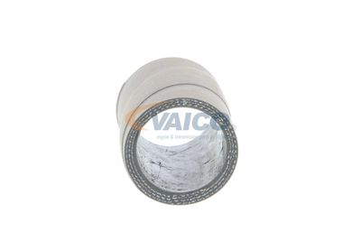 LADELUFTSCHLAUCH VAICO V103759 63