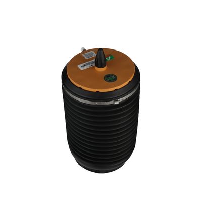 LUFTFEDER FAHRWERK Arnott A3891 62