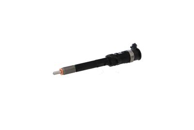 INJECTOR REMANTE 002003001132R 62