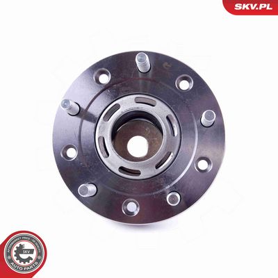 SET RULMENT ROATA ESEN SKV 29SKV304 3