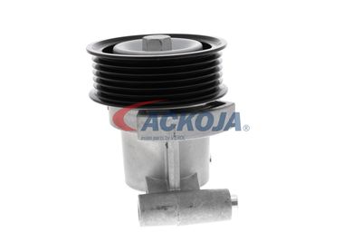 INTINZATOR CUREA CUREA DISTRIBUTIE ACKOJA A320602 47