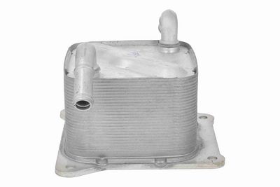 RADIATOR ULEI ULEI MOTOR ACKOJA A38600014 5